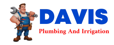 Trusted plumber in LESTER